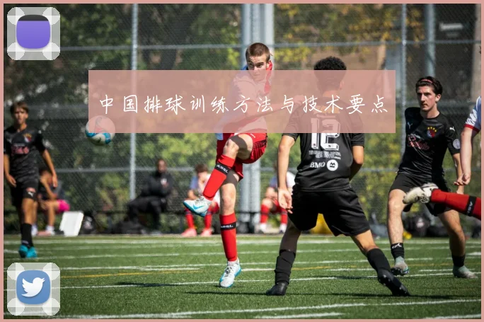 中国排球训练方法与技术要点